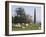 Sheep and Obelisk, Welcombe Hills, Near Stratford Upon Avon, Warwickshire, England-David Hughes-Framed Photographic Print