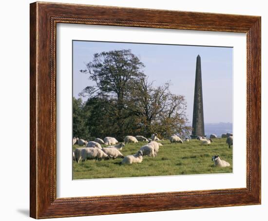 Sheep and Obelisk, Welcombe Hills, Near Stratford Upon Avon, Warwickshire, England-David Hughes-Framed Photographic Print
