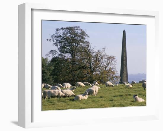 Sheep and Obelisk, Welcombe Hills, Near Stratford Upon Avon, Warwickshire, England-David Hughes-Framed Photographic Print