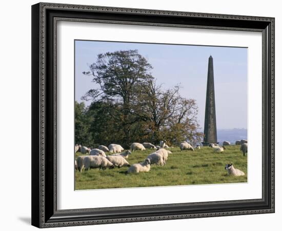 Sheep and Obelisk, Welcombe Hills, Near Stratford Upon Avon, Warwickshire, England-David Hughes-Framed Photographic Print