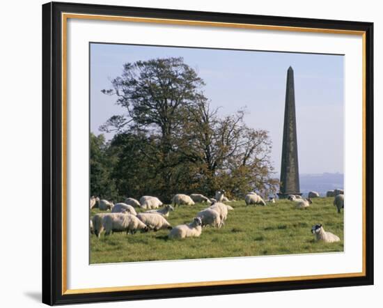 Sheep and Obelisk, Welcombe Hills, Near Stratford Upon Avon, Warwickshire, England-David Hughes-Framed Photographic Print