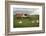 Sheep and Old Barn-pink candy-Framed Photographic Print