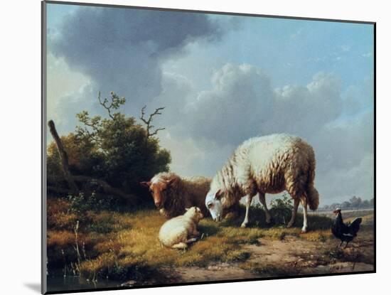 Sheep and Poultry in a Landscape, 19th Century-Eugène Verboeckhoven-Mounted Giclee Print