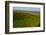 Sheep and the Rolling Hills to the Ocean, Otago, South Island, New Zealand, Pacific-Bhaskar Krishnamurthy-Framed Photographic Print