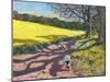 Sheep And Yellow Field-Andrew Macara-Mounted Giclee Print