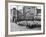 Sheep Arriving at the Chicago Stockyards to Be Converted into Legs of Mutton and Lamb Chops-null-Framed Photographic Print