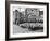 Sheep Arriving at the Chicago Stockyards to Be Converted into Legs of Mutton and Lamb Chops-null-Framed Photographic Print