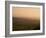 Sheep at Sunset, Near Sidmouth, Devon, England, United Kingdom, Europe-Jeremy Lightfoot-Framed Photographic Print