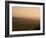 Sheep at Sunset, Near Sidmouth, Devon, England, United Kingdom, Europe-Jeremy Lightfoot-Framed Photographic Print