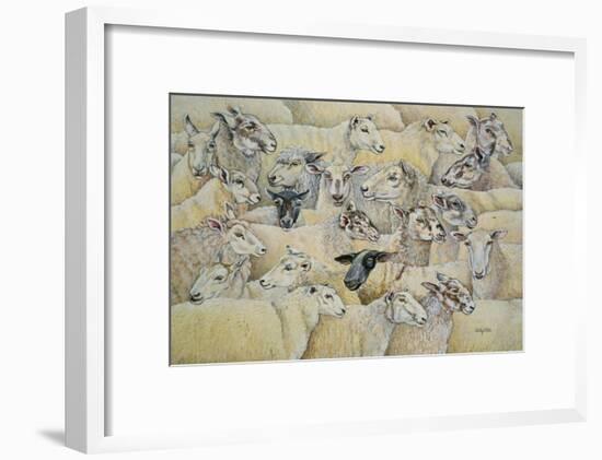 Sheep-Blanket-Ditz-Framed Giclee Print