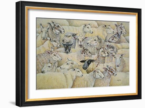 Sheep-Blanket-Ditz-Framed Giclee Print