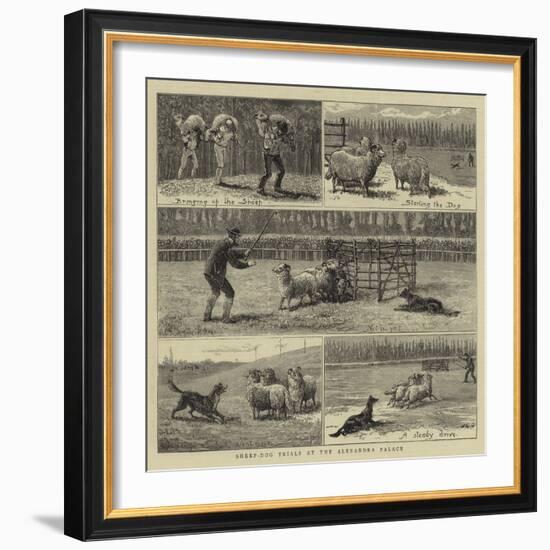 Sheep-Dog Trials at the Alexandra Palace-John Charles Dollman-Framed Giclee Print