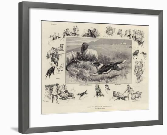 Sheep-Dog Trials in Westmoreland-John Charlton-Framed Giclee Print