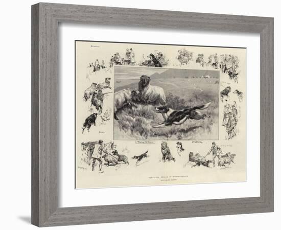 Sheep-Dog Trials in Westmoreland-John Charlton-Framed Giclee Print