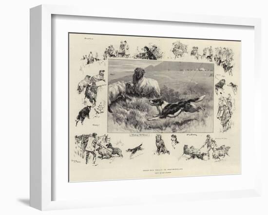 Sheep-Dog Trials in Westmoreland-John Charlton-Framed Giclee Print