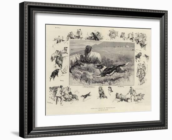 Sheep-Dog Trials in Westmoreland-John Charlton-Framed Giclee Print