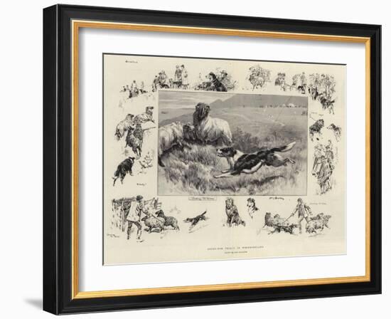 Sheep-Dog Trials in Westmoreland-John Charlton-Framed Giclee Print