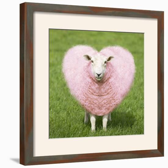 Sheep Ewe Pink Heart Shaped Wool-null-Framed Photographic Print