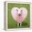 Sheep Ewe Pink Heart Shaped Wool-null-Framed Premier Image Canvas