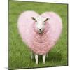 Sheep Ewe Pink Heart Shaped Wool-null-Mounted Photographic Print