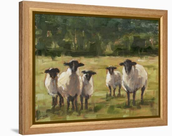 Sheep Family I-Ethan Harper-Framed Stretched Canvas