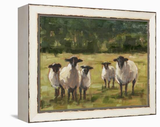 Sheep Family I-Ethan Harper-Framed Stretched Canvas
