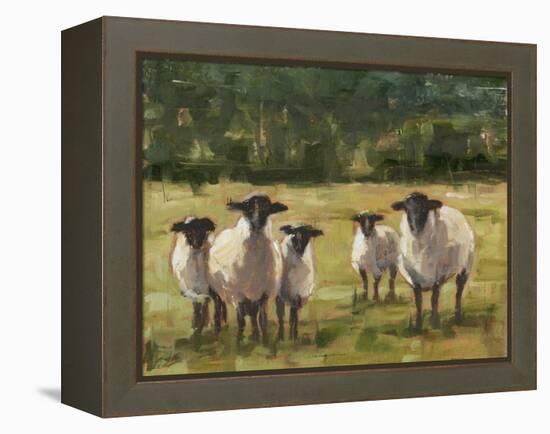 Sheep Family I-Ethan Harper-Framed Stretched Canvas