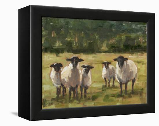 Sheep Family I-Ethan Harper-Framed Stretched Canvas