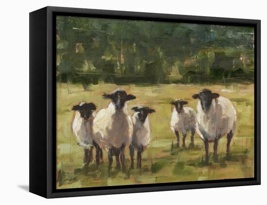 Sheep Family I-Ethan Harper-Framed Stretched Canvas