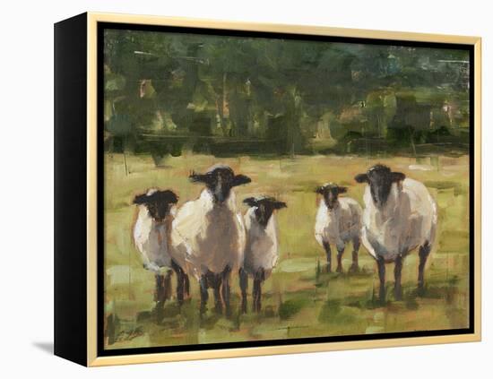 Sheep Family I-Ethan Harper-Framed Stretched Canvas