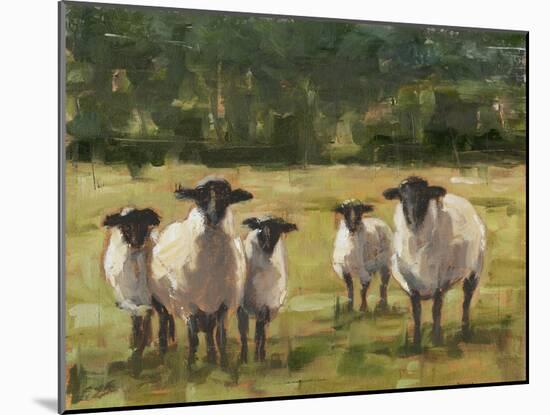 Sheep Family I-Ethan Harper-Mounted Premium Giclee Print