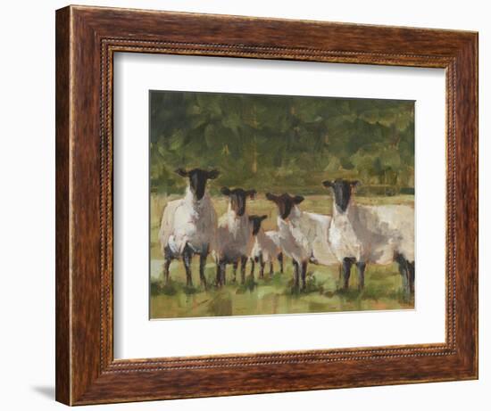 Sheep Family II-Ethan Harper-Framed Art Print