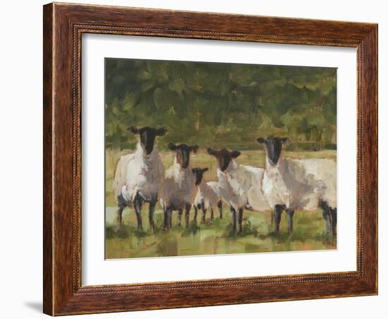 Sheep Family II-Ethan Harper-Framed Art Print