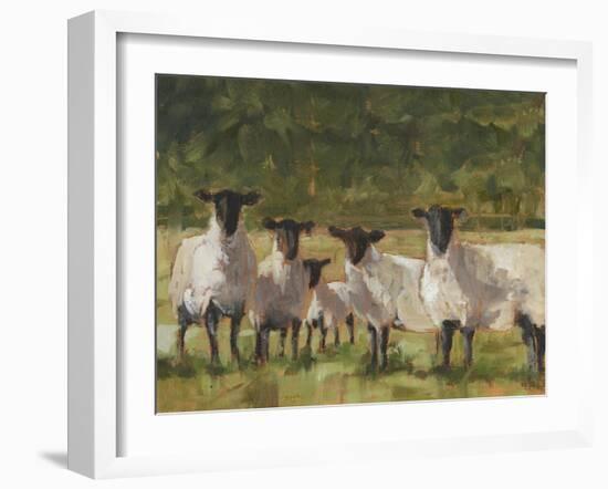 Sheep Family II-Ethan Harper-Framed Art Print