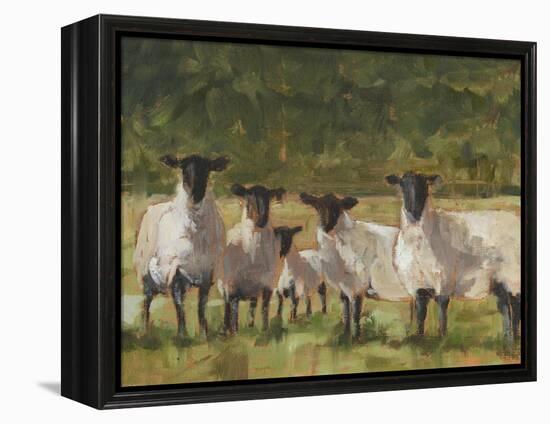 Sheep Family II-Ethan Harper-Framed Stretched Canvas