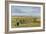 Sheep Farmer, Isle of Sheppey-Margaret Loxton-Framed Giclee Print