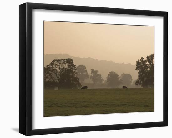 Sheep Farmland Seen from the Cotswold Way Footpath, Stanway Village, the Cotswolds, England-David Hughes-Framed Photographic Print