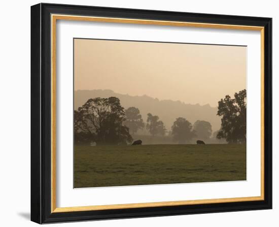 Sheep Farmland Seen from the Cotswold Way Footpath, Stanway Village, the Cotswolds, England-David Hughes-Framed Photographic Print