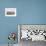 Sheep Feed on High Moorland in a Wintry Landscape in Powys, Wales, United Kingdom, Europe-Graham Lawrence-Framed Photographic Print displayed on a wall