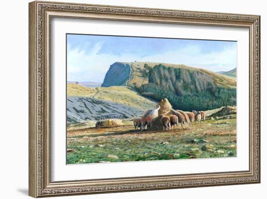 Sheep Feeding, 2004-Trevor Neal-Framed Giclee Print