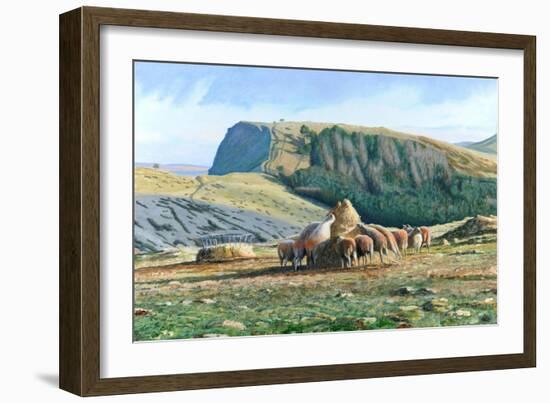 Sheep Feeding, 2004-Trevor Neal-Framed Giclee Print