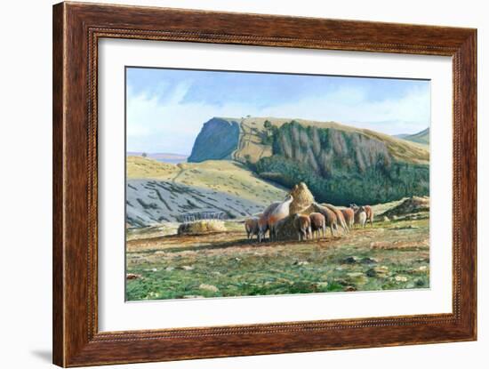 Sheep Feeding, 2004-Trevor Neal-Framed Giclee Print