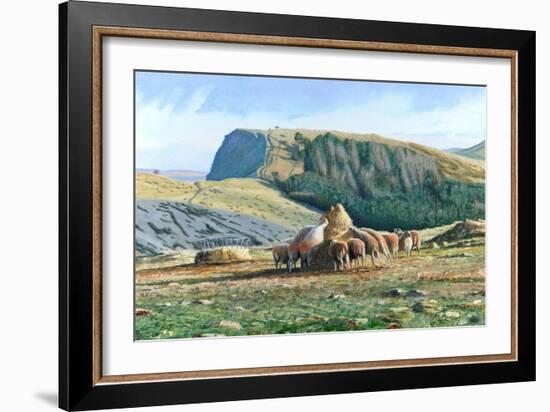 Sheep Feeding, 2004-Trevor Neal-Framed Giclee Print