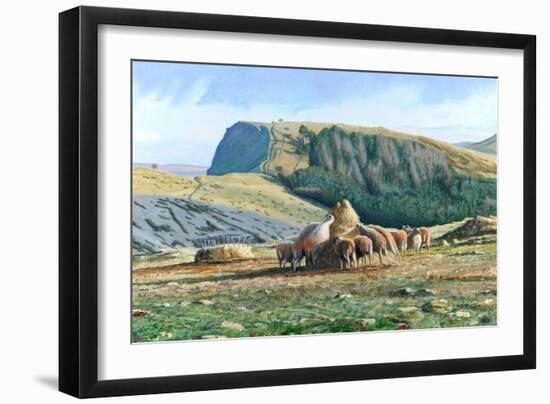 Sheep Feeding, 2004-Trevor Neal-Framed Giclee Print