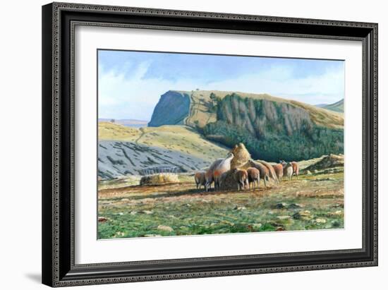 Sheep Feeding, 2004-Trevor Neal-Framed Giclee Print