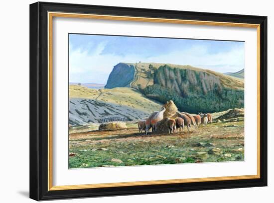 Sheep Feeding, 2004-Trevor Neal-Framed Giclee Print