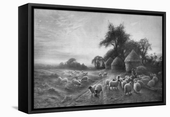 'Sheep Feeding', c1890, (1911)-Joseph Farquharson-Framed Premier Image Canvas