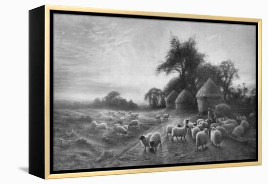 'Sheep Feeding', c1890, (1911)-Joseph Farquharson-Framed Premier Image Canvas