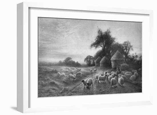 'Sheep Feeding', c1890, (1911)-Joseph Farquharson-Framed Giclee Print