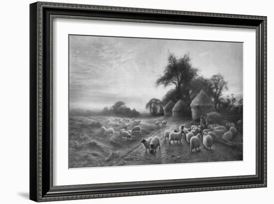 'Sheep Feeding', c1890, (1911)-Joseph Farquharson-Framed Giclee Print